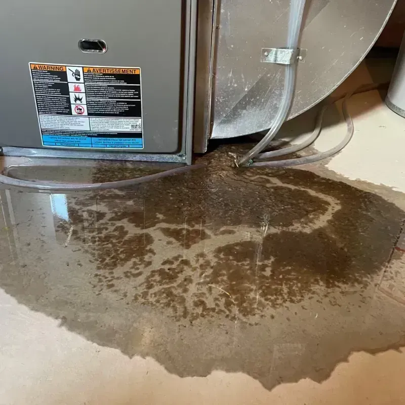 Appliance Leak Cleanup in Mineral Wells, WV